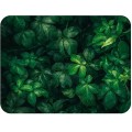 1. PODKLADKA KORKOWA 30 cm x 40 cm F4398 Herbs.jpg