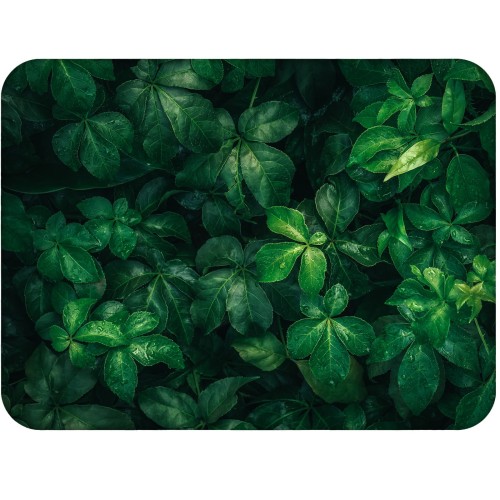1. PODKLADKA KORKOWA 30 cm x 40 cm F4398 Herbs.jpg