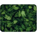 1. PODKLADKA KORKOWA 30 cm x 40 cm F4376 Leaves.jpg