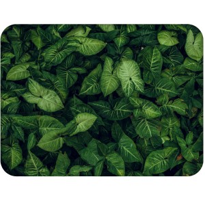 Twarda podkładka korkowa z nadrukiem w rozmiarze 30x40 cm - Leaves 5