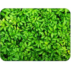 Twarda podkładka korkowa z nadrukiem w rozmiarze 30x40 cm - Leaves 4