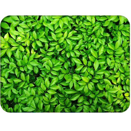 1. PODKLADKA KORKOWA 30 cm x 40 cm F4373 Leaves.jpg
