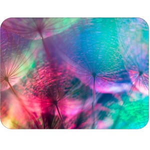 Twarda podkładka korkowa z nadrukiem w rozmiarze 30x40 cm - Colorful Dandelion