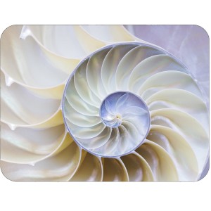Twarda podkładka korkowa z nadrukiem w rozmiarze 30x40 cm - Spiral Shell