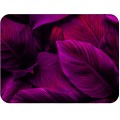 1. PODKLADKA KORKOWA 30 cm x 40 cm F4352 Purple Leaves.jpg