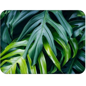 Twarda podkładka korkowa z nadrukiem w rozmiarze 30x40 cm - Leaves 1