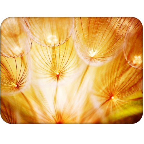 1. PODKLADKA KORKOWA 30 cm x 40 cm F4381 Floral Glow.jpg