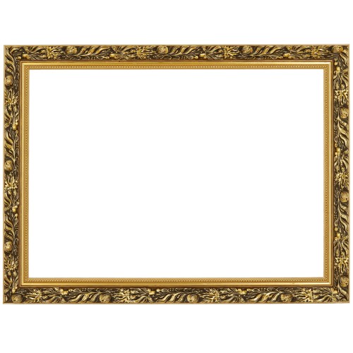 1. ZLOTA RAMKA MAKOWKA 50 cm x 70 cm przodem.jpg