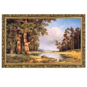 Obraz w złotej ramie Makówka w rozmiarze 60x100 cm - Sosny, Cezary Różycki