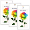 fee19f348e34da5582b86c1a0e608ebf.jpg