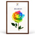 3d57fe570c2fde90b1e4bd3de981e2c1.jpg