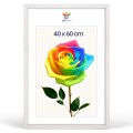 1bad0621bb83ca7ab976738717235918.jpg