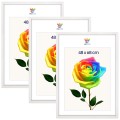e81c2ba69d2fbfd052e540ade46d4378.jpg
