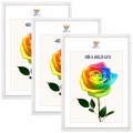 d7856b9ba6fa31ca7cd4390cfd4d24bc.jpg