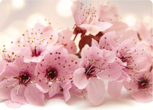 Twarda podkładka korkowa z nadrukiem w rozmiarze 30x40 cm