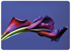 Twarda podkładka korkowa z nadrukiem w rozmiarze 30x40 cm - Flower 17