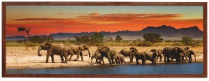Nowoczesny obraz w brązowej ramie o wymiarach 35x100 cm - Elephants 2