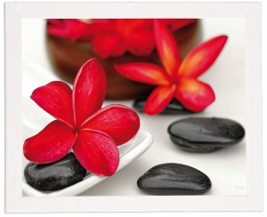 Nowoczesny obraz w białej ramie w rozmiarze 40x50 cm - Flower and stone 4