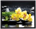 Obraz w czarnej ramie Żółte orchidee