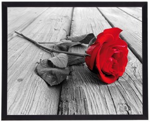 Nowoczesny obraz w czarnej ramie w rozmiarze 40x50 cm - Rose 2