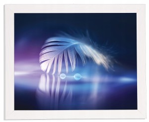 Nowoczesny obraz w białej ramie w rozmiarze 40x50 cm - Feather 1