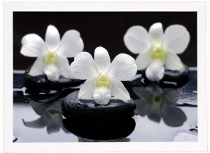 Obraz w białej ramie w rozmiarze 50x70 cm- Spa 2