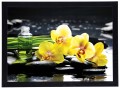 Obraz w czarnej ramie Orchidee