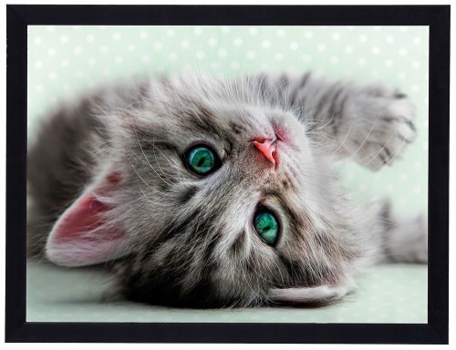 Obraz do pokoju dziecięcego