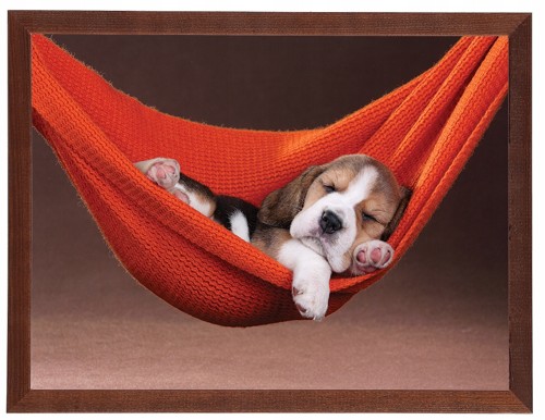 Nowoczesny obraz do pokoju dziecięcego