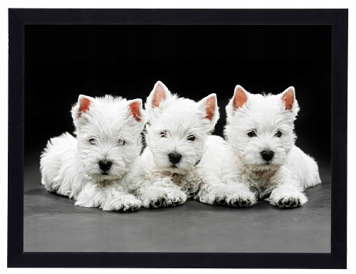 Nowoczesny obraz w ramie