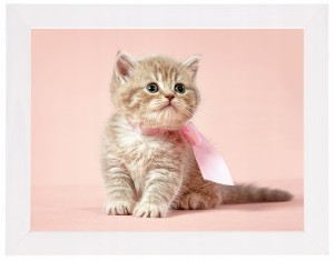 Nowoczesny obraz w białej ramie o wymiarach 30x40 cm - Cat 1