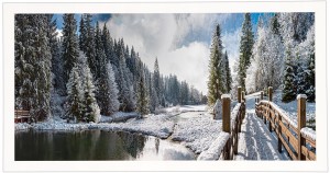 Nowoczesny obraz w białej ramie o wymiarach 50x100 cm - Winter 1