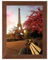 Obraz w brązowej ramie Paryż
