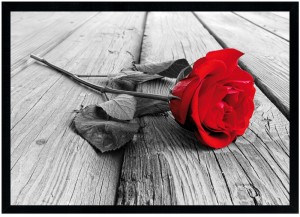 Nowoczesny obraz w czarnej ramie o wymiarach 70x100 cm -  Rose 2