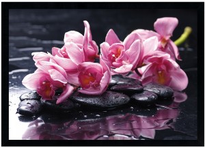 Nowoczesny obraz w czarnej ramie o wymiarach 70x100 cm -  Flower 6