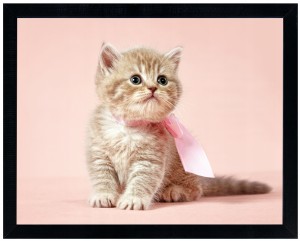 Nowoczesny obraz w czarnej ramie o wymiarach 30x40 cm - Cat 1