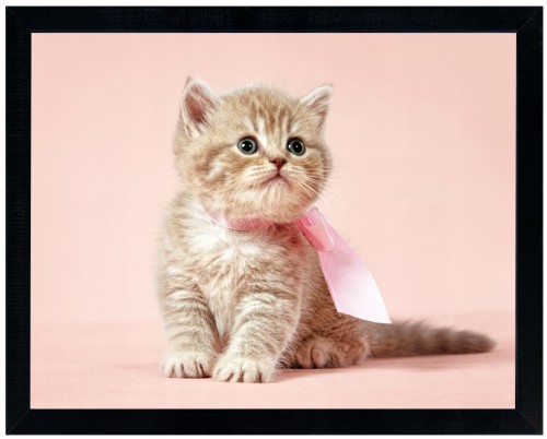 Idealny do pokoju dziecięcego