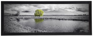 Nowoczesny obraz w czarnej ramie o wymiarach 35x100 cm- Tree 1