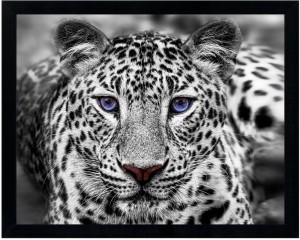 Nowoczesny obraz w czarnej ramie o wymiarach 40x50 cm  - Tiger 1