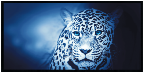 Nowoczesny obraz w czarnej ramie