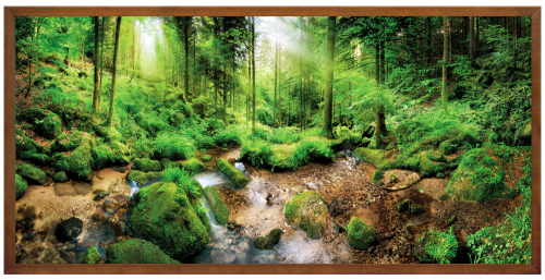 Nowoczesny obraz "Las"