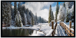 Nowoczesny obraz w czarnej ramie o wymiarach 50x100 cm - Winter 1