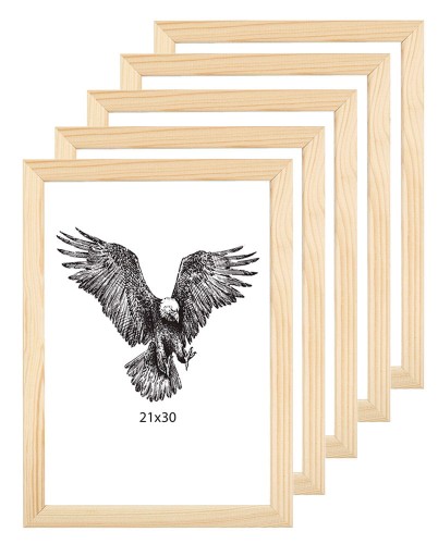 Zestaw 5 szt ramek-eko