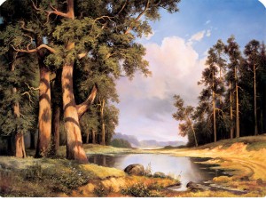 Podkładka korkowa z nadrukiem, reprodukcja w rozmiarze 30x40 cm- Sosny