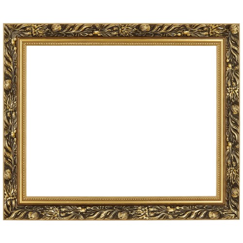 1. ZLOTA RAMKA MAKOWKA 40 cm x 50 cm przodem.jpg