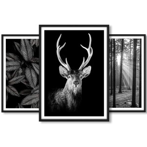Galeria 3 plakatów rozmiar 50x70 cm „Las III” – kolaż ścienny 3 zdjęć, grafik, obrazów w czarnych ramach