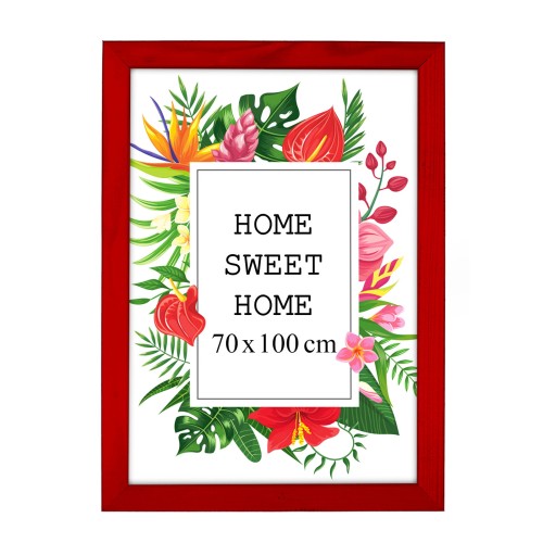 1. CZERWONA RAMKA TRNZFR 70 x 100 cm przodem.jpg