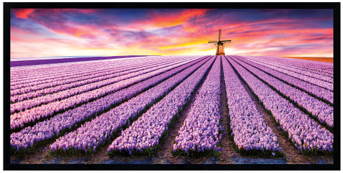 Nowoczesny obraz 50x100 cm