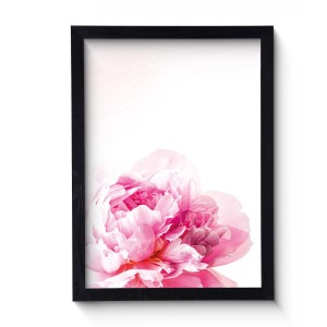 Nowoczesny obraz w czarnej ramie o wymiarach 50x70 cm - Pink Peony