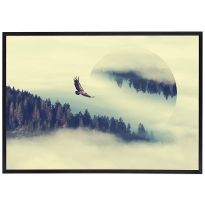 Nowoczesny obraz w czarnej ramie o wymiarach 70x100 cm -  Eagle 1